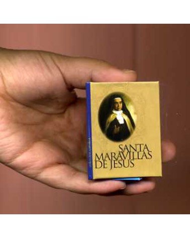 SANTA MARAVILLAS DE JESÚS. BONSAI