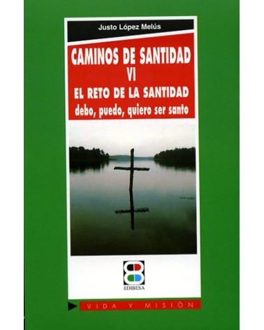 CAMINOS DE SANTIDAD VI EL RETO DE LA SANTIDAD