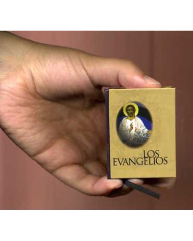 LOS EVANGELIOS. BONSAI