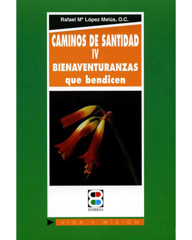 CAMINOS DE SANTIDAD IV BIENAVENTURANZAS QUE BENDICEN
