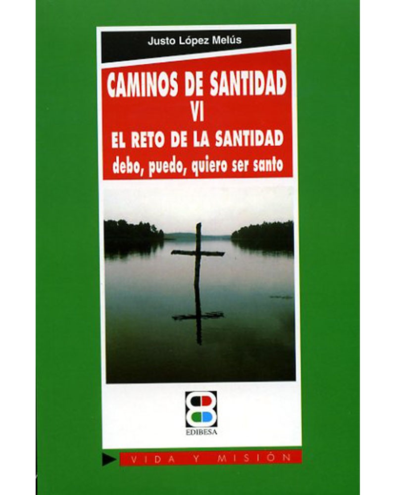 CAMINOS DE SANTIDAD VI EL RETO DE LA SANTIDAD